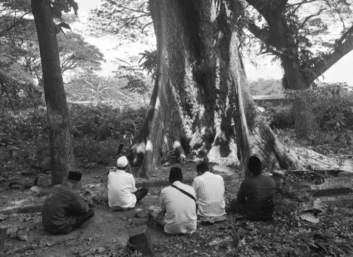 Mbah Syihabuddin, Pohon Genealogi Pesantren Sepuh Jawa&nbsp;Timur